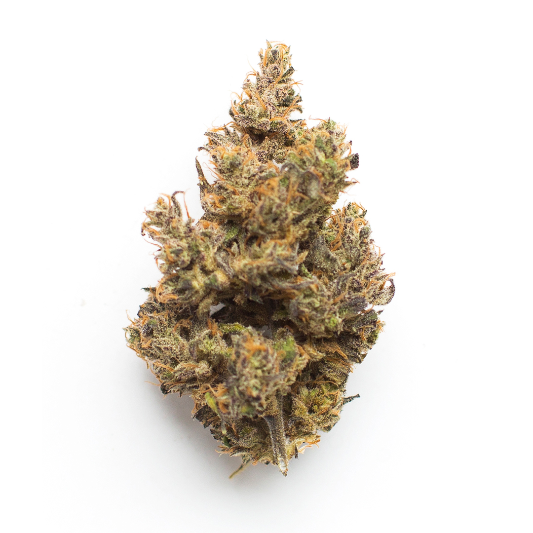 Bop Gun marijuana strain flower with cheese and berry flavor and hungry / energetic effects - Rare Harvest hybrid