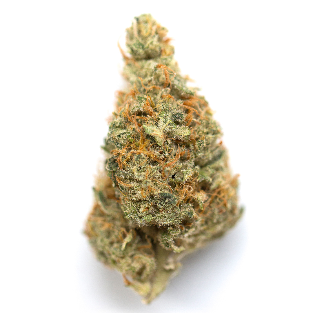 Kaua’i Electric marijuana strain flower with tropical and mango flavor and energetic / creative effects - Rare Harvest sativa