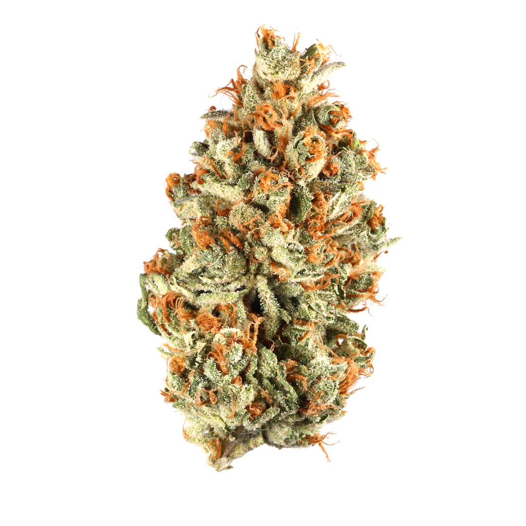 Terpee Slerpee marijuana strain flower with grapefruit and apricot flavor and focused / energetic effects - Rare Harvest hybrid