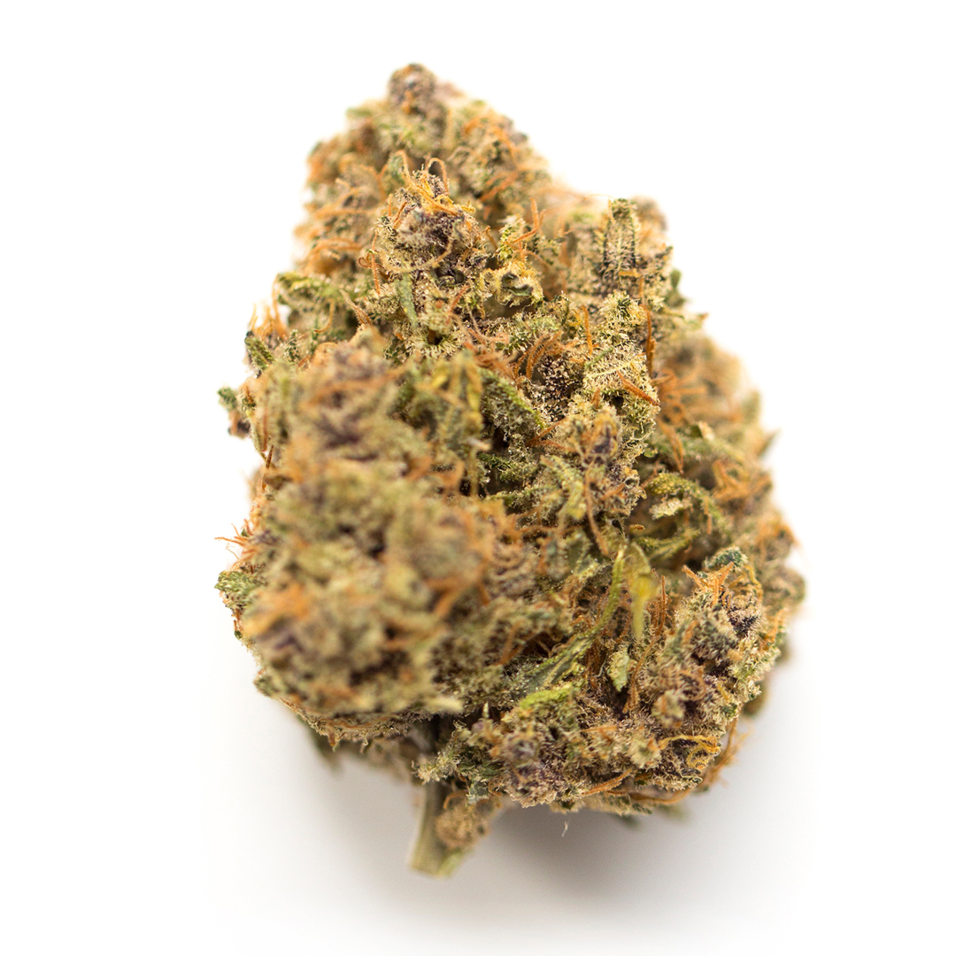 Animal Blues marijuana strain flower with chestnut and grape flavor and aroused / uplifted effects - Rare Harvest hybrid