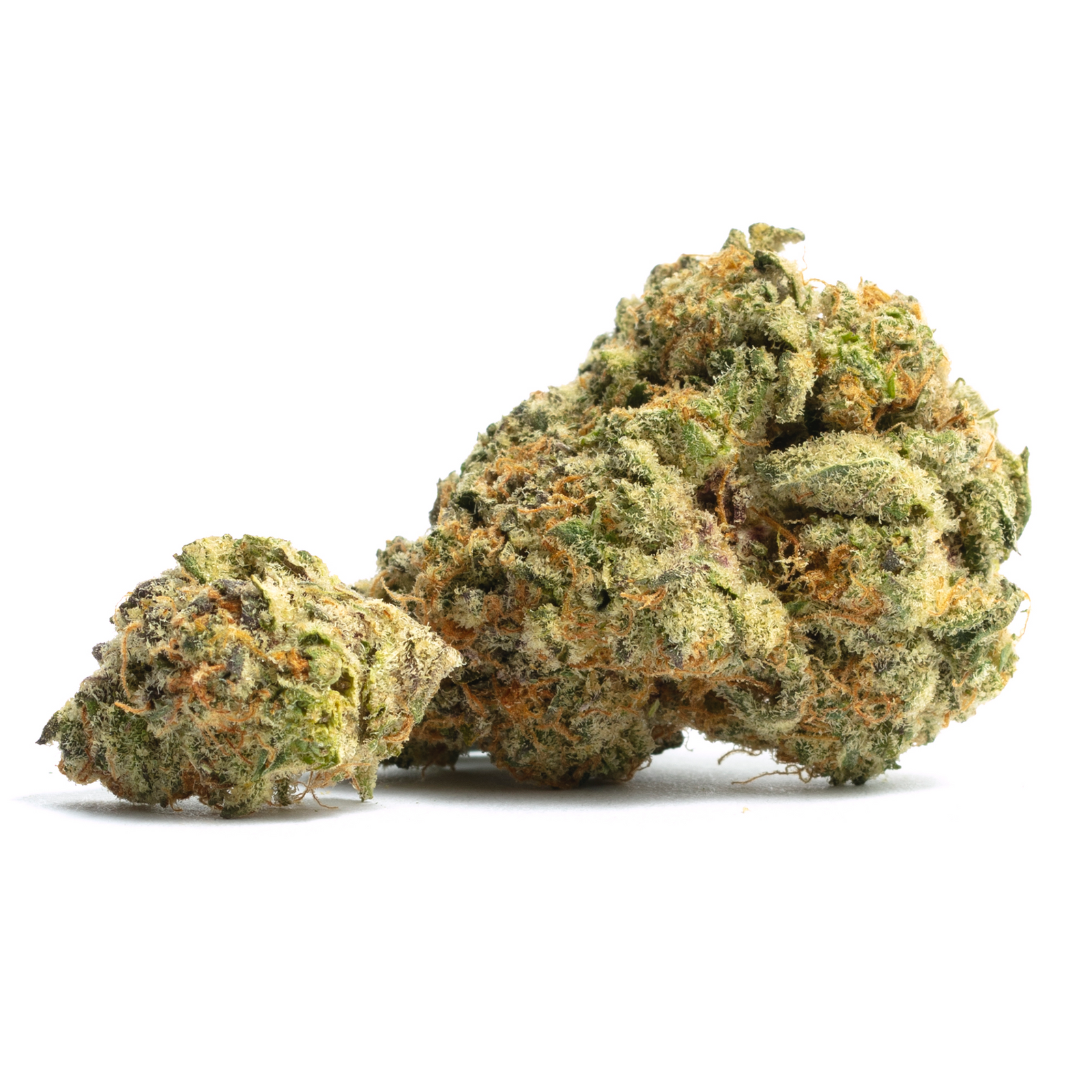 Red Line Haze marijuana strain flower with cheese and pine flavor and energetic / talkative effects - Rare Harvest sativa