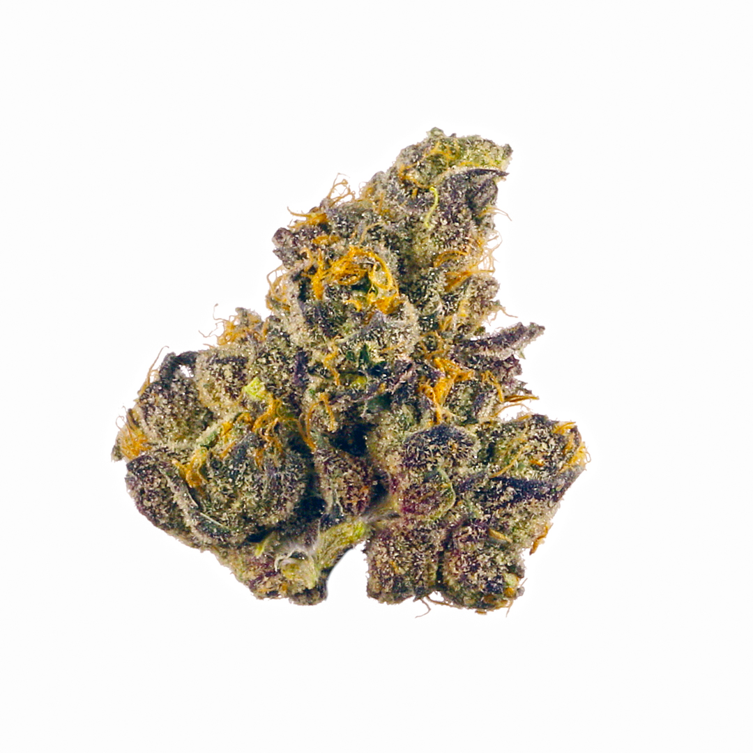 Tangieberto marijuana strain flower with orange and lime flavor and uplifted / happy effects - Rare Harvest hybrid