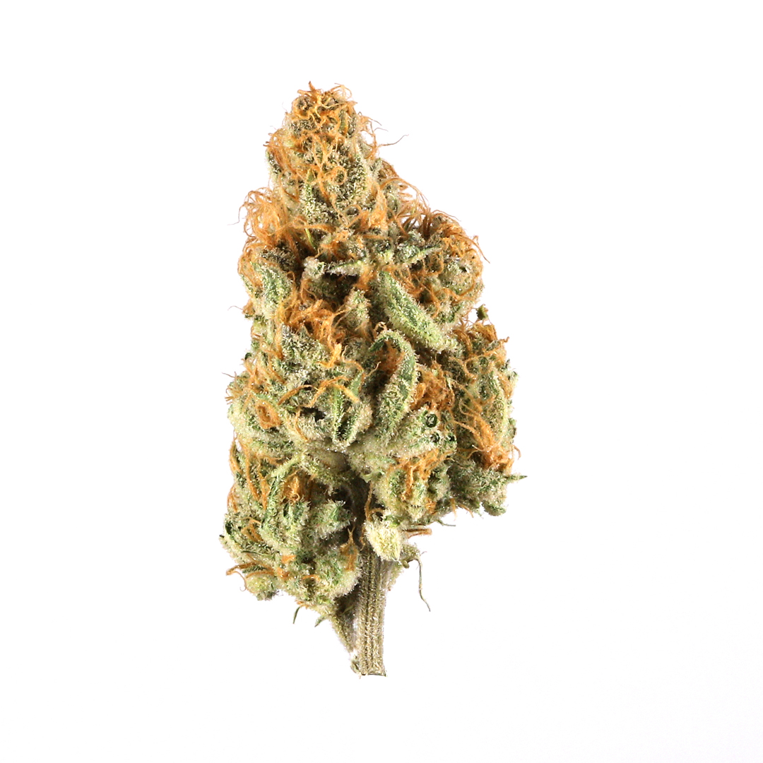 Divine Storm marijuana strain flower with violet and apple flavor and sleepy / giggly effects - Rare Harvest hybrid