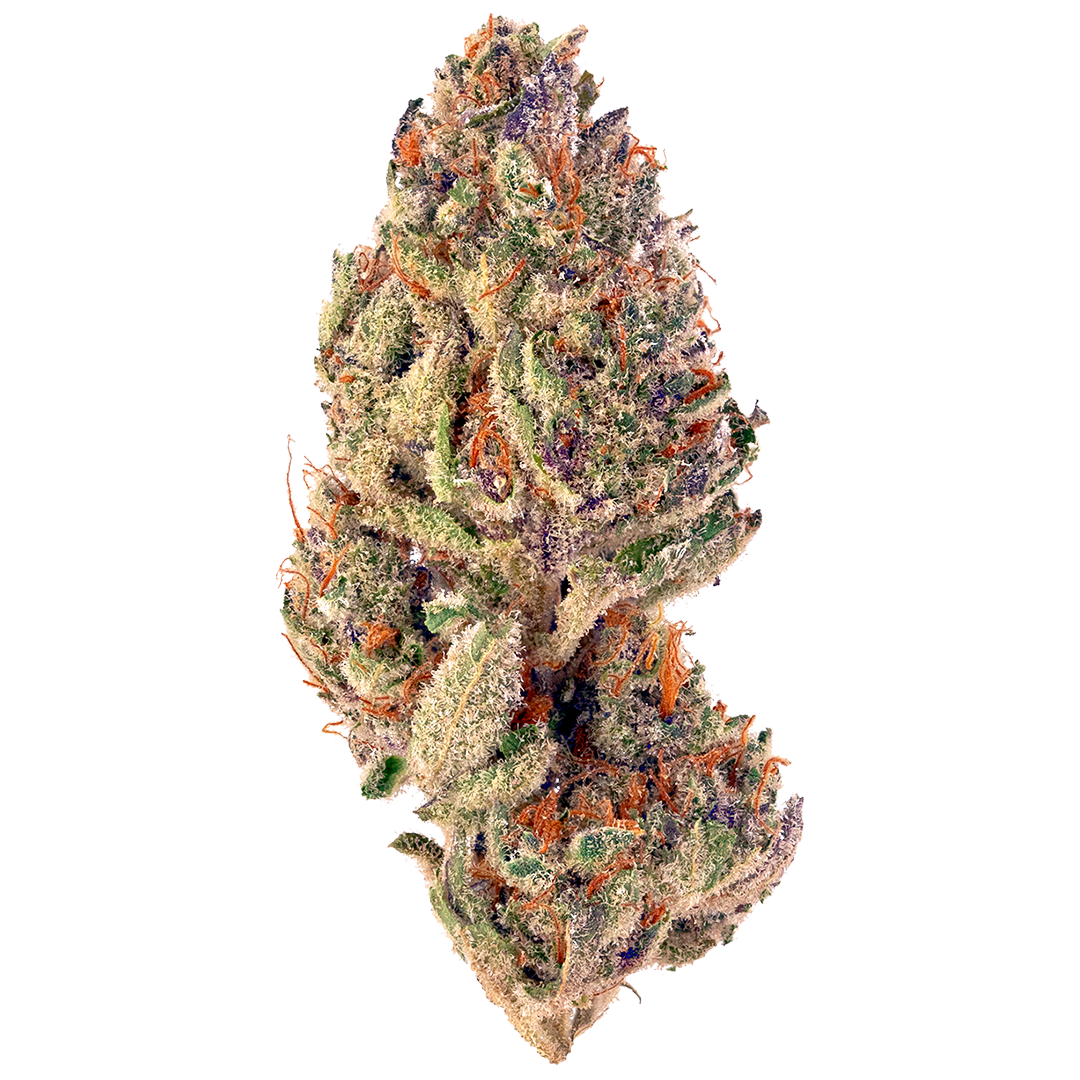 Tigerz Eye marijuana strain flower with rose and peach flavor and sleepy / happy effects - Rare Harvest hybrid