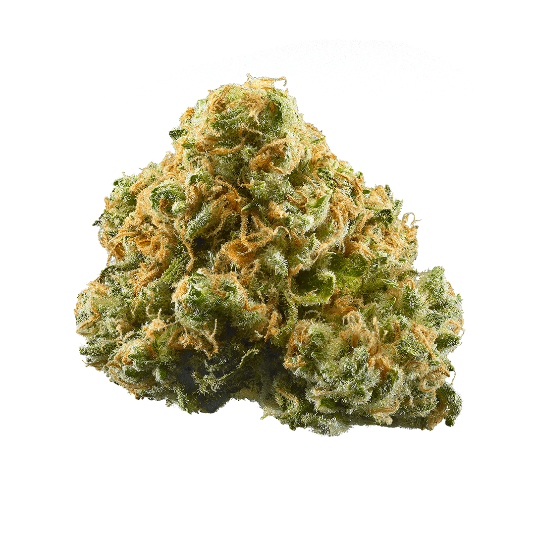 Zour Apples marijuana strain flower with apple and blueberry flavor and relaxed / focused effects - Rare Harvest hybrid