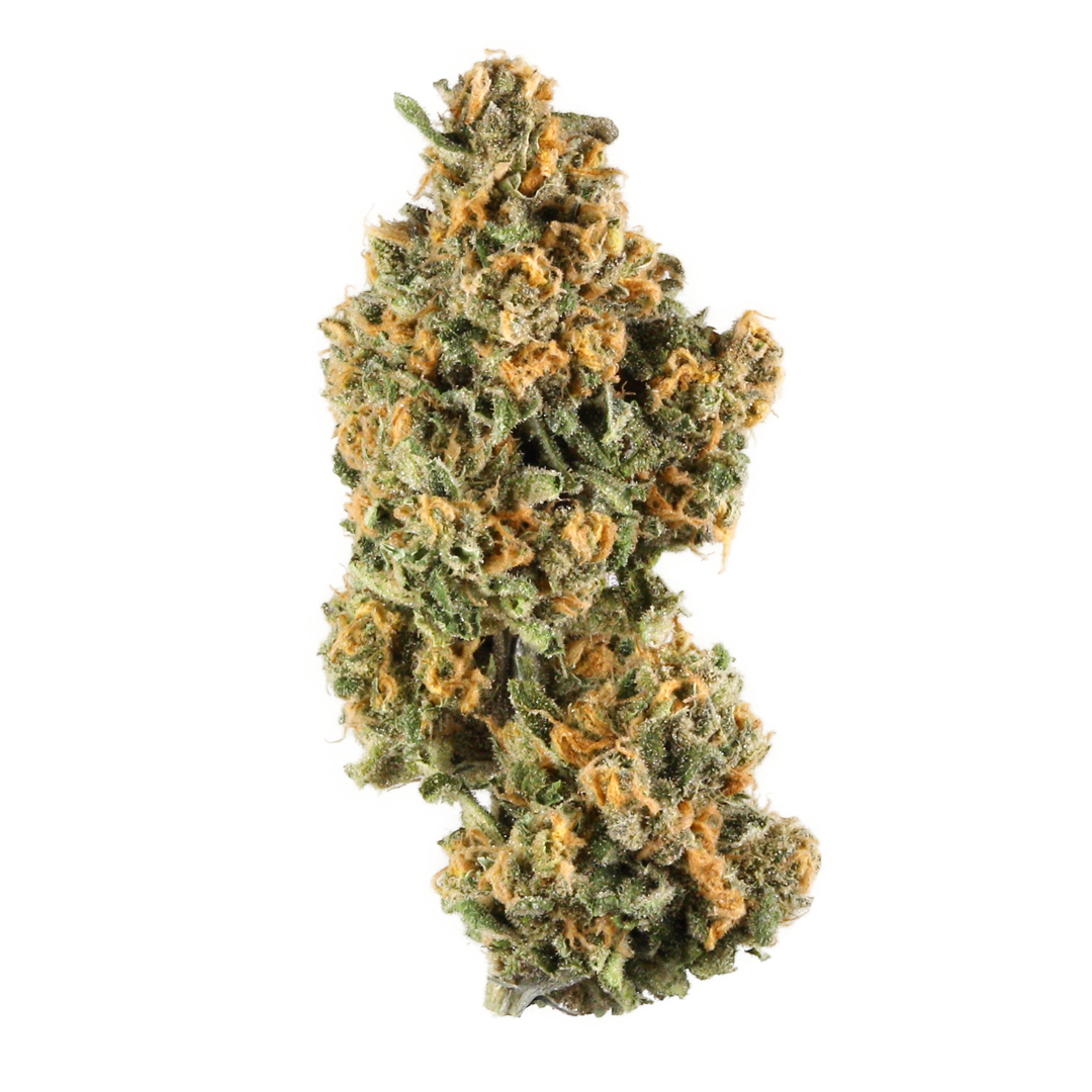 Mossimo OG marijuana strain flower with honey and lemon flavor and focused / euphoric effects - Rare Harvest indica