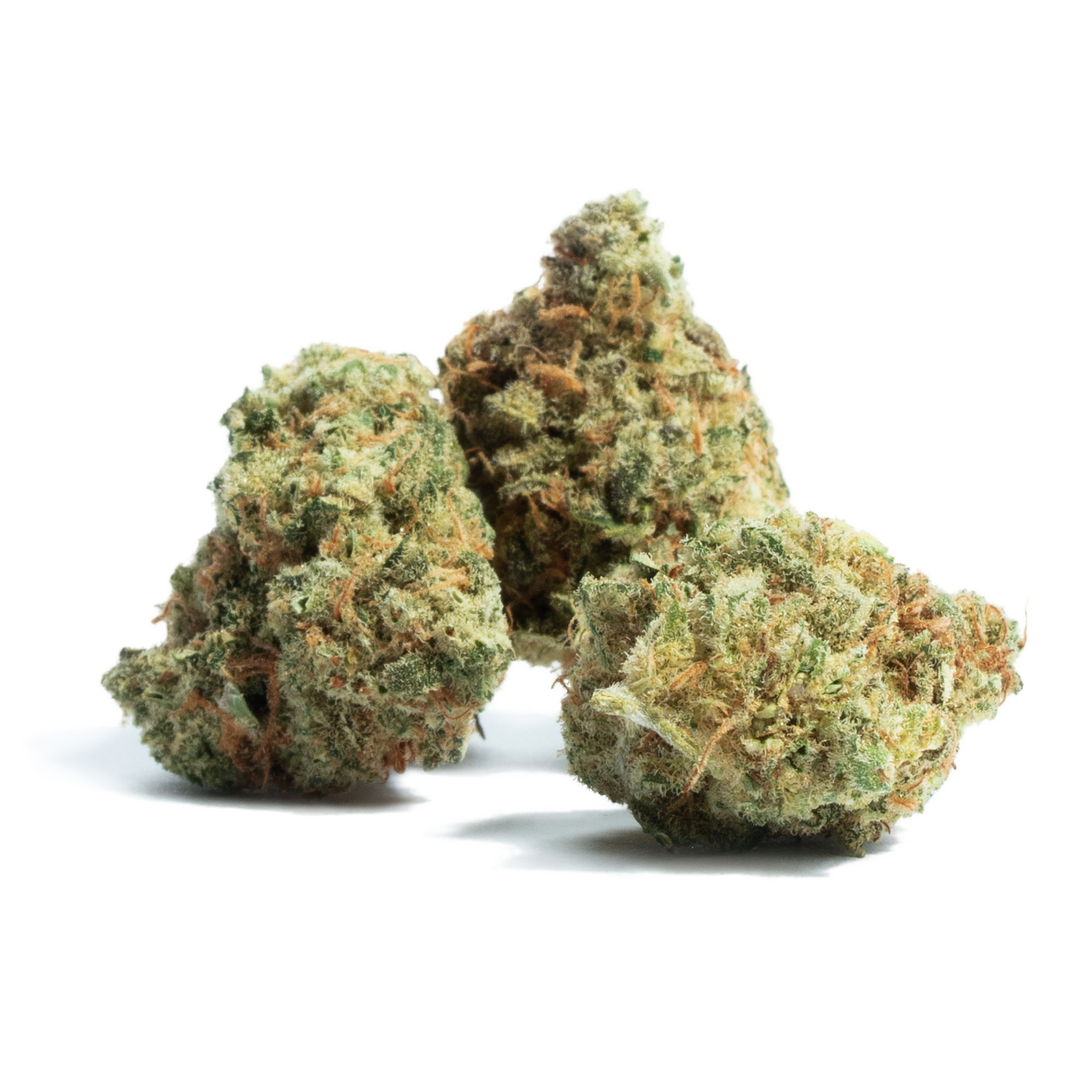 TK Lato marijuana strain flower with mango and citrus flavor and energetic / creative effects - Rare Harvest hybrid