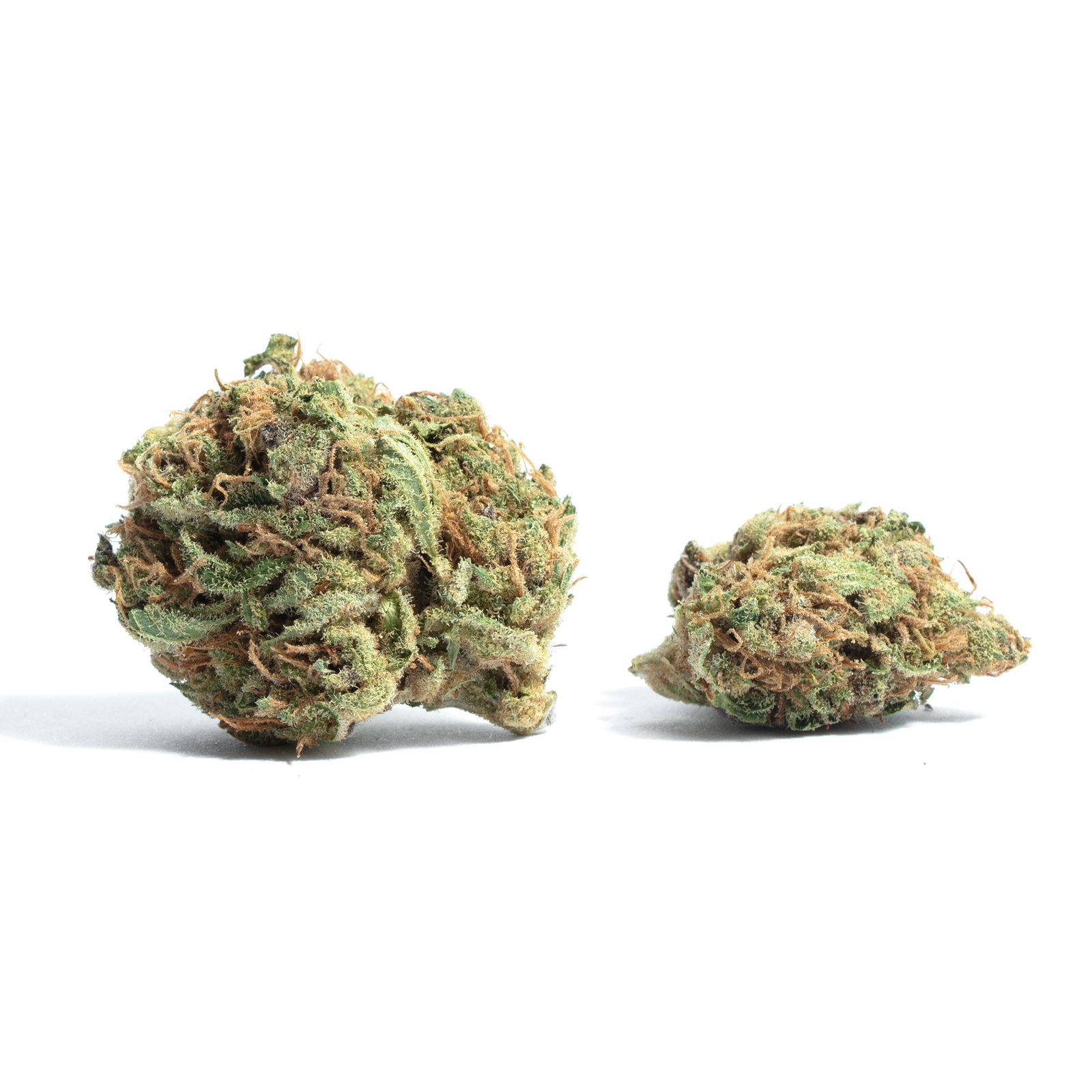 Unobomb marijuana strain flower - Rare Harvest hybrid