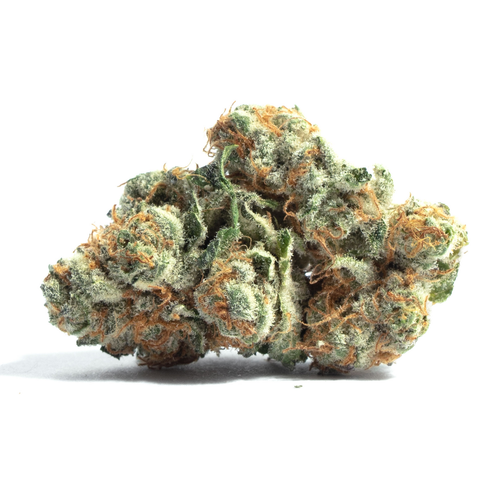 Sour Sangria marijuana strain flower with pine and earthy flavor and energetic / uplifted effects - Rare Harvest hybrid