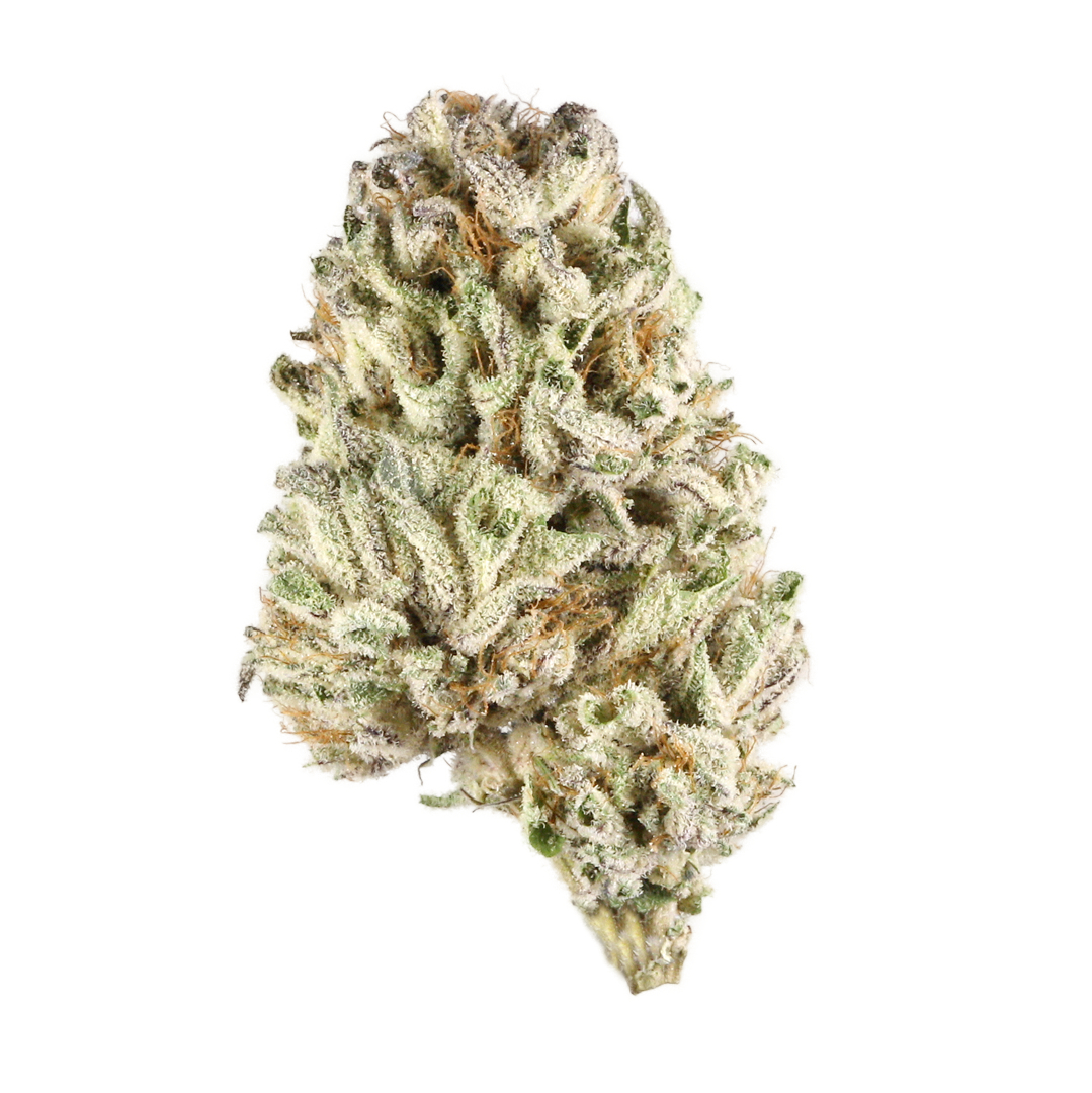Plum Crazy marijuana strain flower with strawberry and apple flavor and creative / uplifted effects - Rare Harvest hybrid