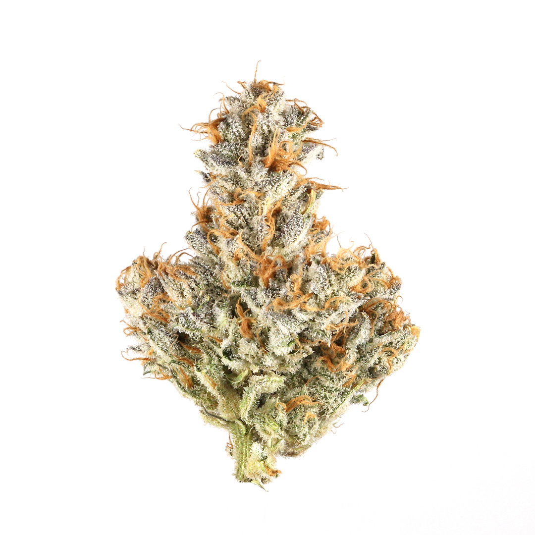 White Bubblegum marijuana strain flower with mint and blueberry flavor and energetic / focused effects - Rare Harvest indica