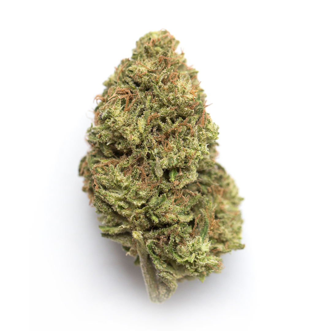 Unicorn Sherbert marijuana strain flower with cheese and strawberry flavor and energetic / uplifted effects - Rare Harvest hybrid