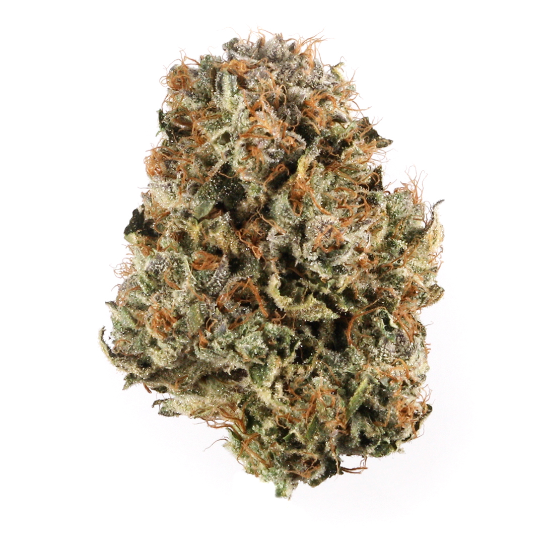 Toad Venom marijuana strain flower with lemon and chemical flavor and creative / talkative effects - Rare Harvest hybrid