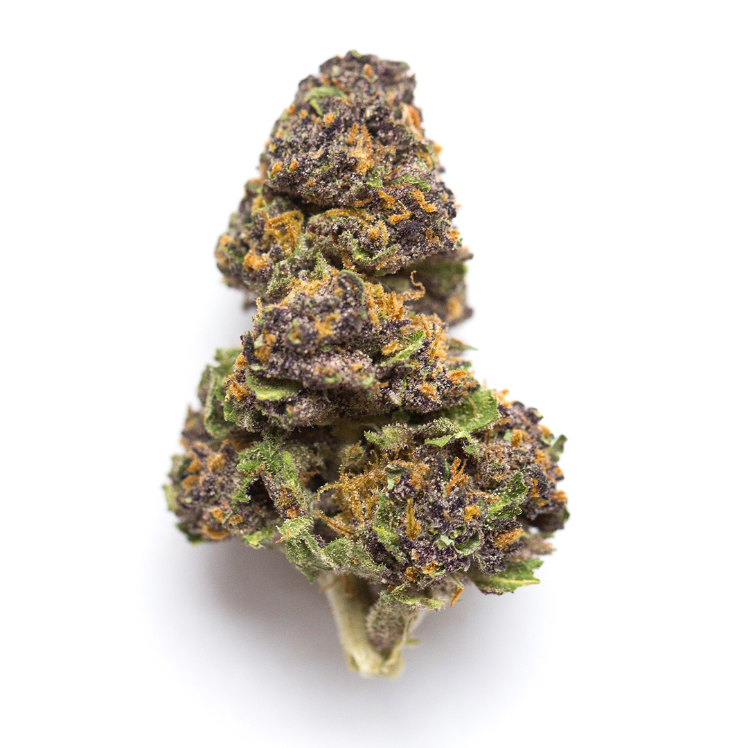Purple Mountain Majesty marijuana strain flower with violet and diesel flavor and relaxed / happy effects - Rare Harvest hybrid