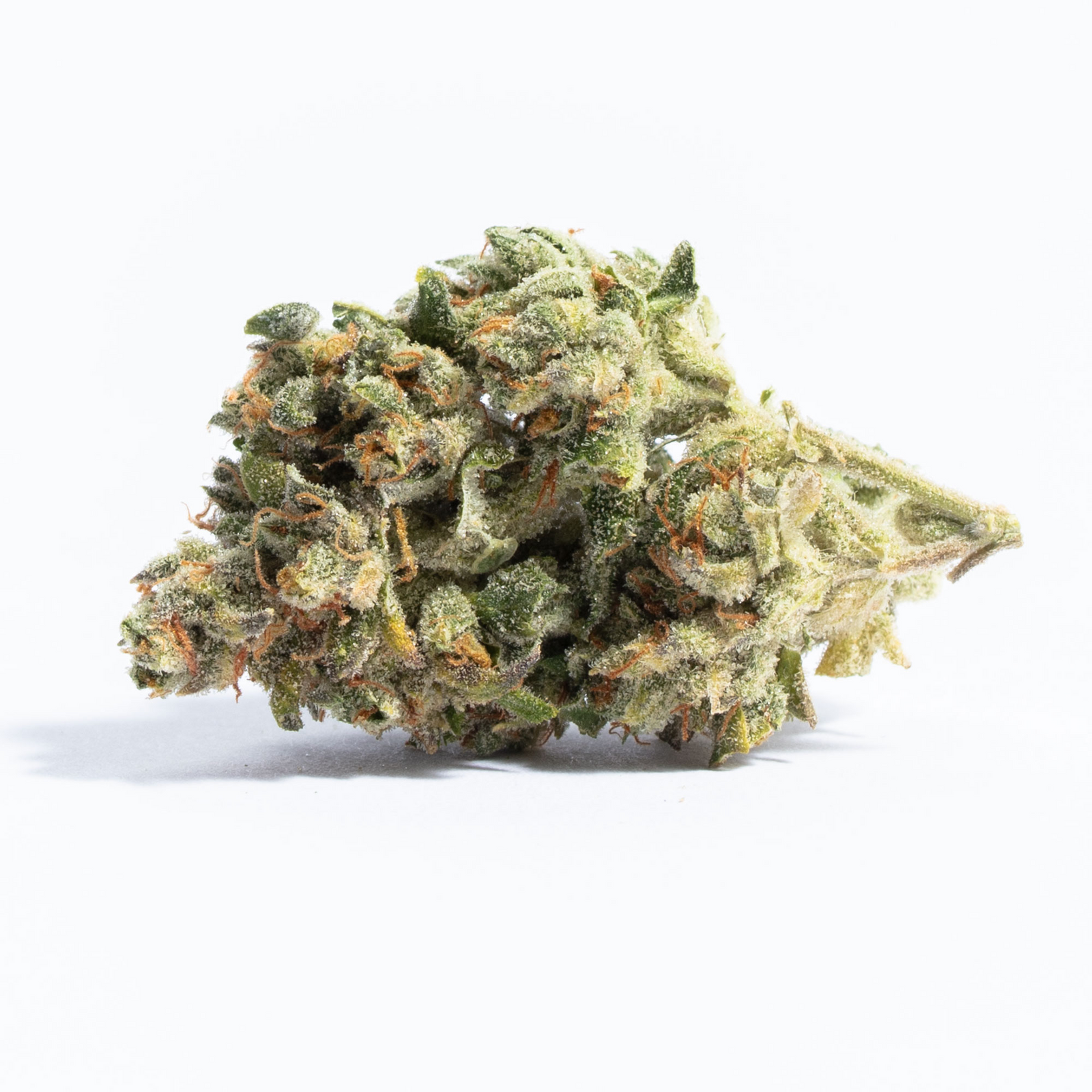 Spiked Mai Tai marijuana strain flower with blue cheese and coffee flavor and energetic / focused effects - Rare Harvest hybrid