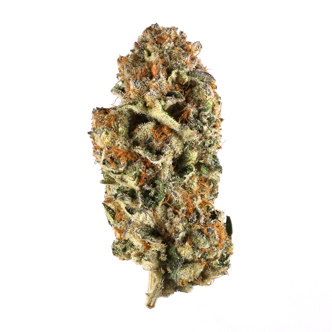 Space Monkey marijuana strain flower with pear and pine flavor and giggly / happy effects - Rare Harvest hybrid