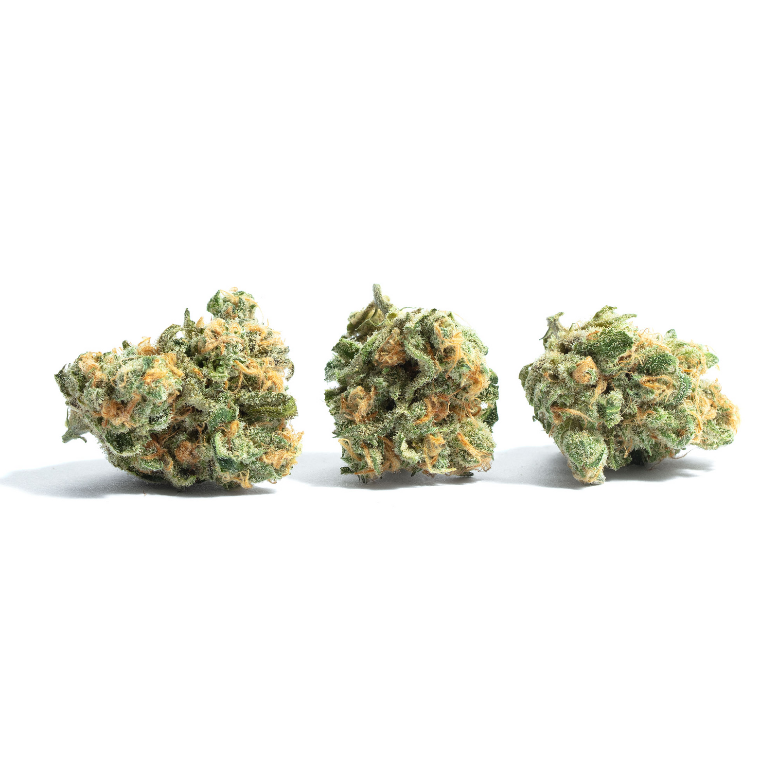 Wifi Mints marijuana strain flower with blueberry and diesel flavor and energetic / creative effects - Rare Harvest hybrid
