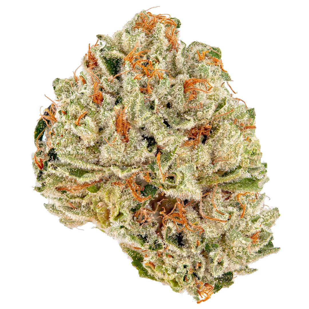 Twisted Fruitcake marijuana strain flower with tropical and citrus flavor and uplifted / euphoric effects - Rare Harvest hybrid