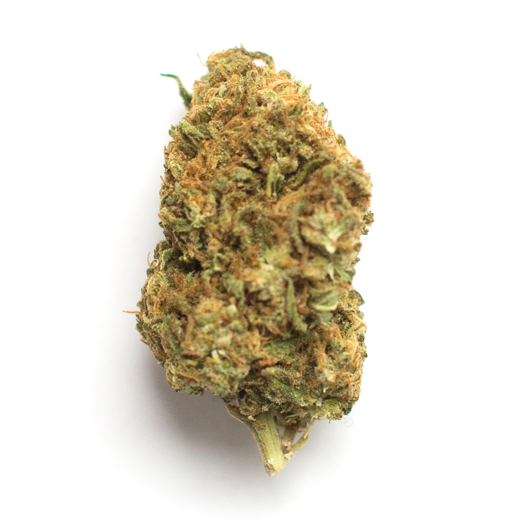 Sleeroy marijuana strain flower with skunk and citrus flavor and energetic / creative effects - Rare Harvest hybrid