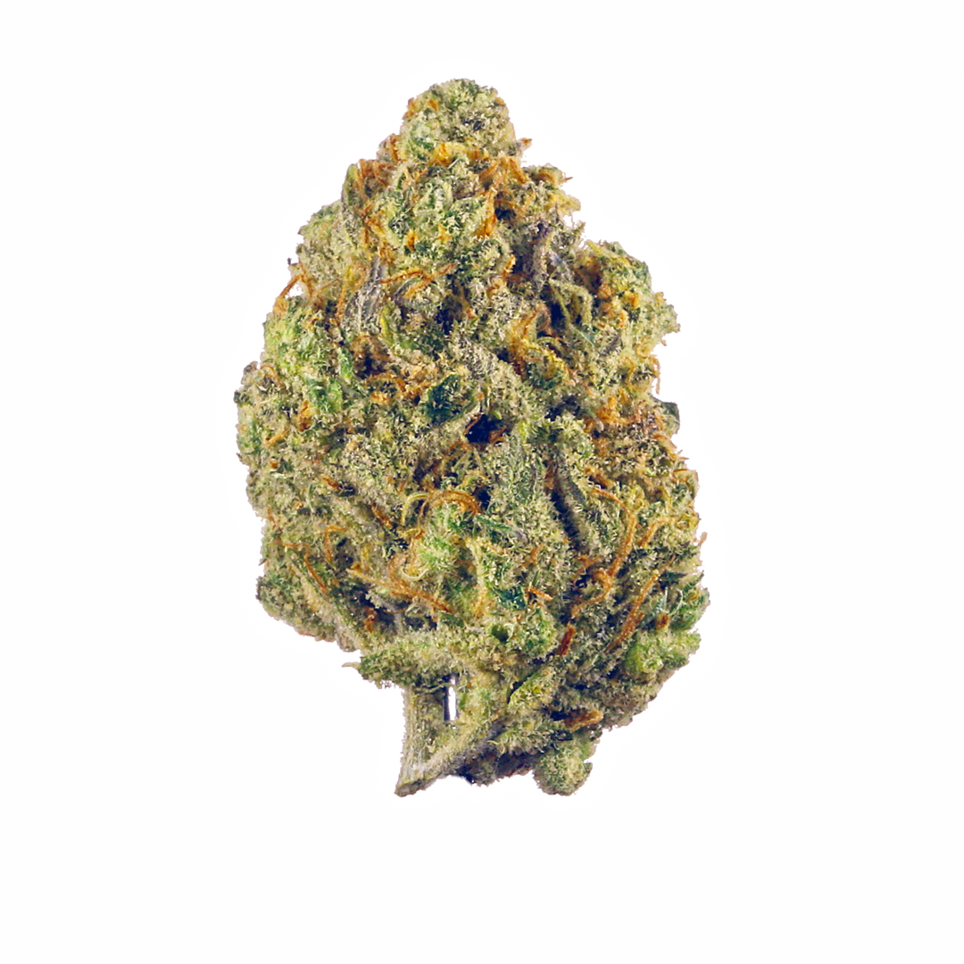 White Poison marijuana strain flower with diesel and cheese flavor and focused / energetic effects - Rare Harvest sativa