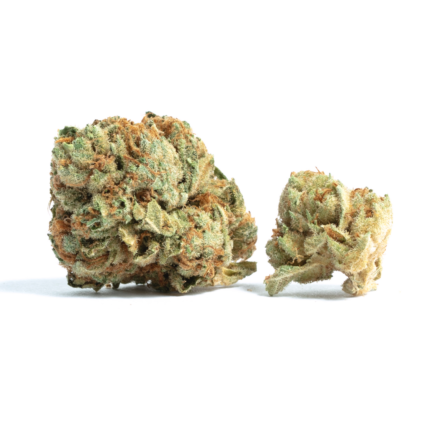 Strawberry Gelato marijuana strain flower with strawberry and apricot flavor and tingly / happy effects - Rare Harvest hybrid