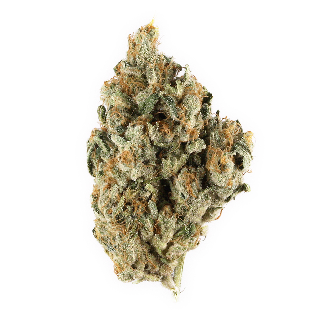 Power Sherb marijuana strain flower with woody and blueberry flavor and tingly / relaxed effects - Rare Harvest hybrid