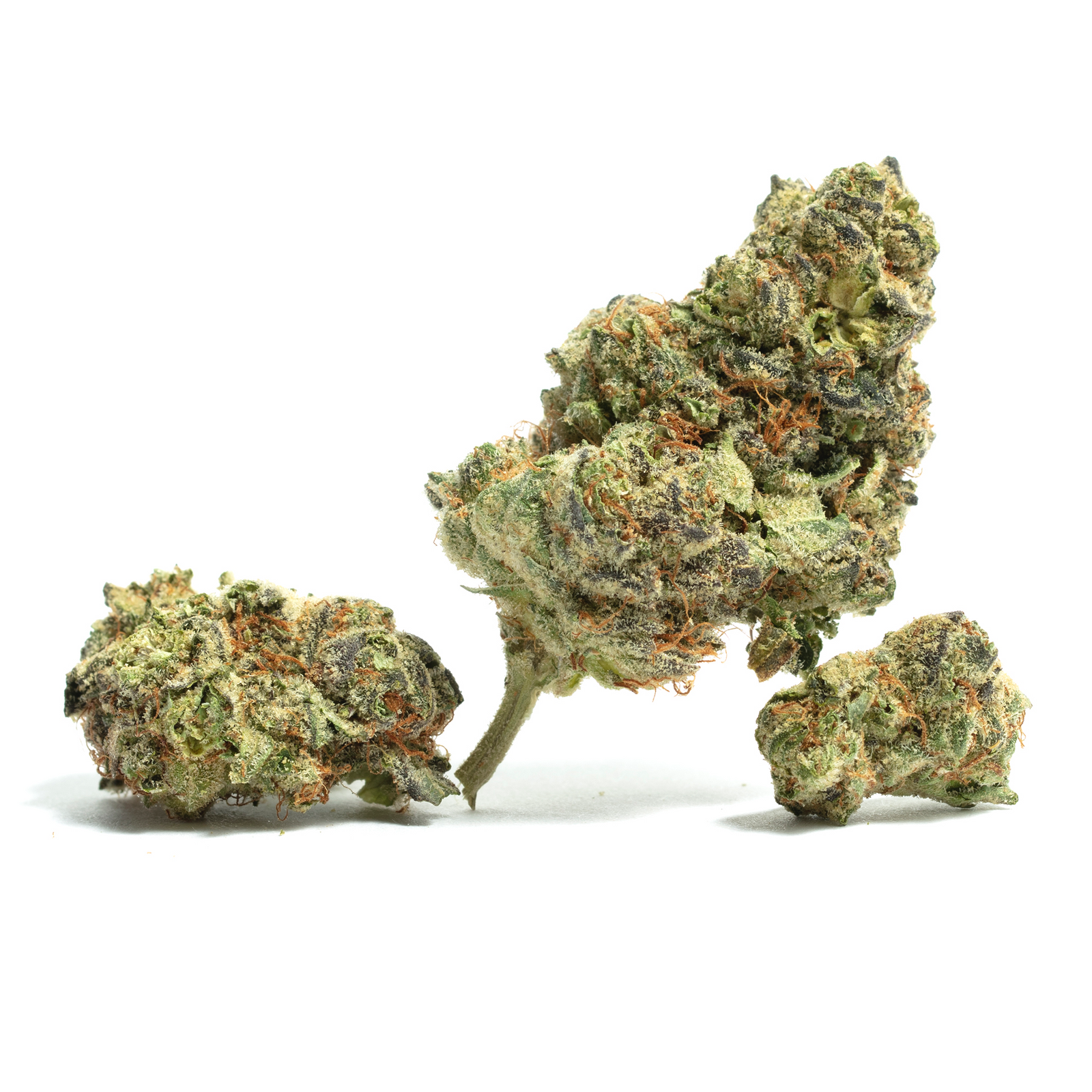 Island Girl marijuana strain flower with mango and pineapple flavor and uplifted / euphoric effects - Rare Harvest hybrid