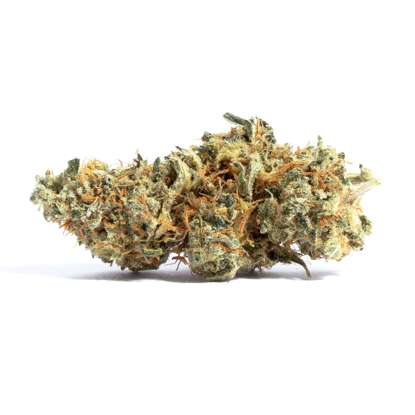 White Super Skunk marijuana strain flower with ammonia and diesel flavor and energetic / hungry effects - Rare Harvest hybrid