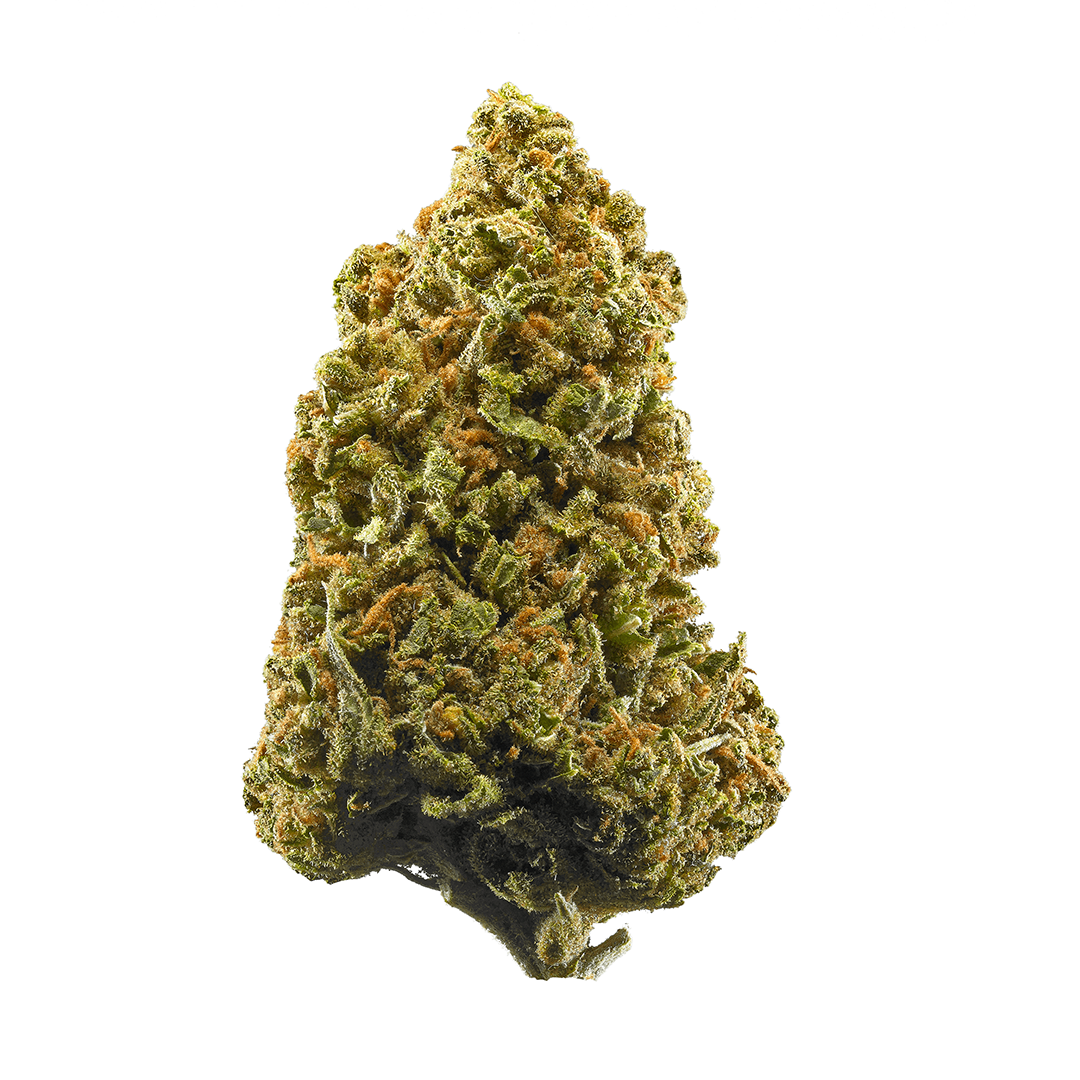 Hades OG marijuana strain flower with lemon and citrus flavor and uplifted / euphoric effects - Rare Harvest indica