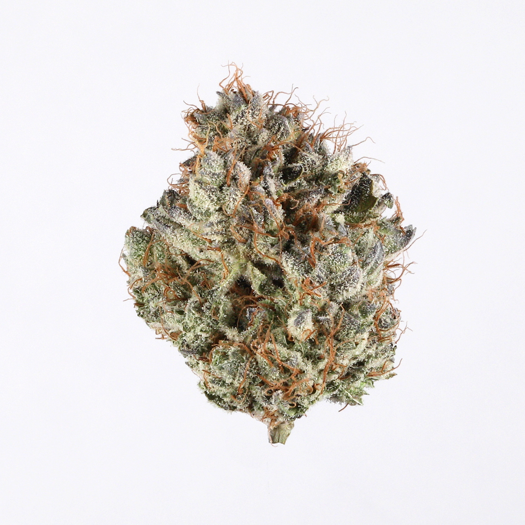 White Cherry Truffle marijuana strain flower with tree fruit and rose flavor and energetic / euphoric effects - Rare Harvest hybrid