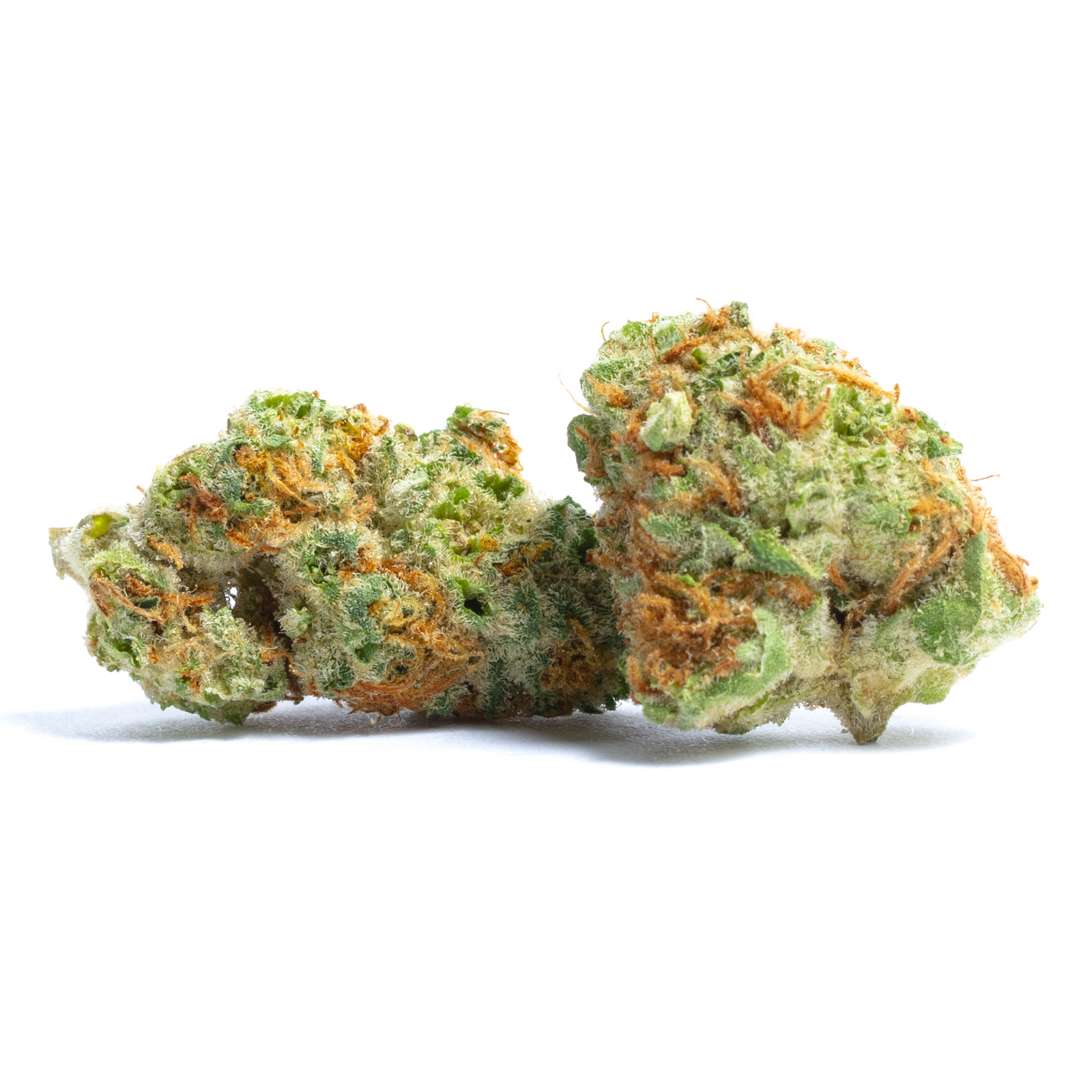 Sunny D marijuana strain flower with orange and citrus flavor and happy / energetic effects - Rare Harvest hybrid