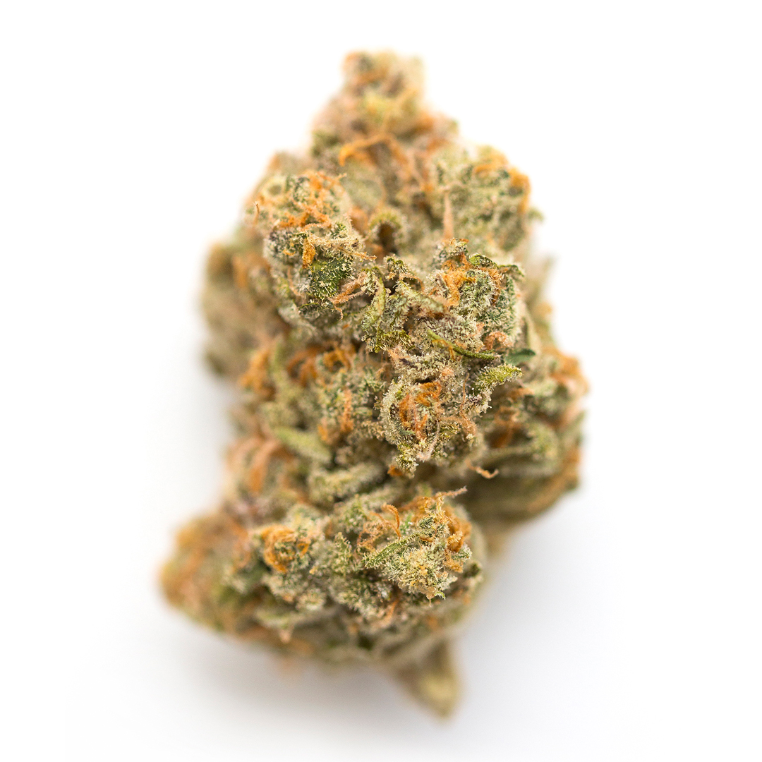 Sky Pilot marijuana strain flower with woody and earthy flavor and happy / relaxed effects - Rare Harvest hybrid