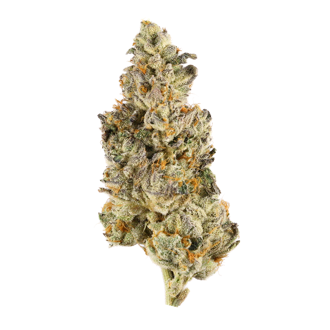 Mochi Runtz marijuana strain flower with violet and diesel flavor and uplifted / energetic effects - Rare Harvest hybrid