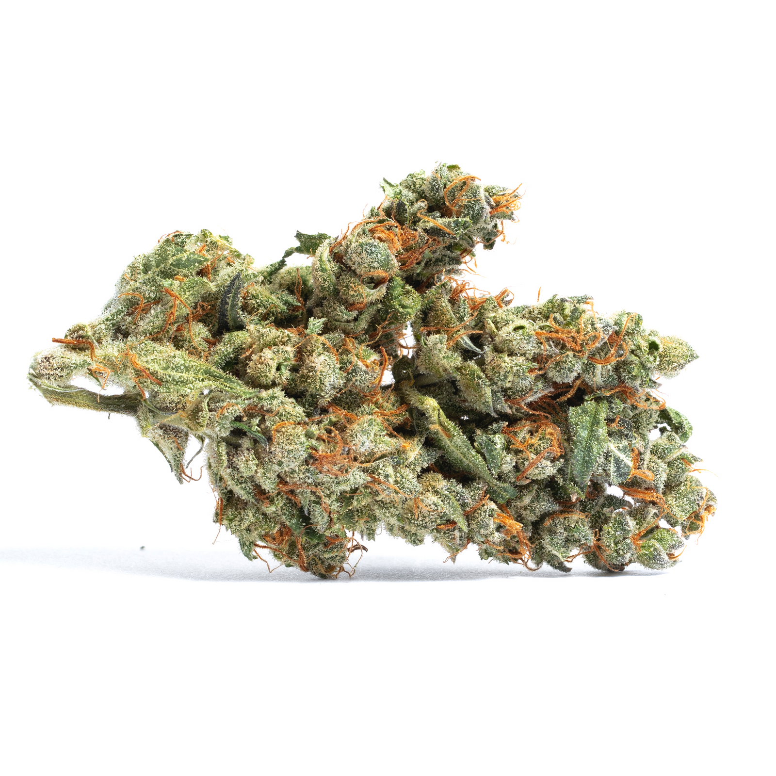 Pink Jesus marijuana strain flower with cheese and diesel flavor and energetic / uplifted effects - Rare Harvest hybrid