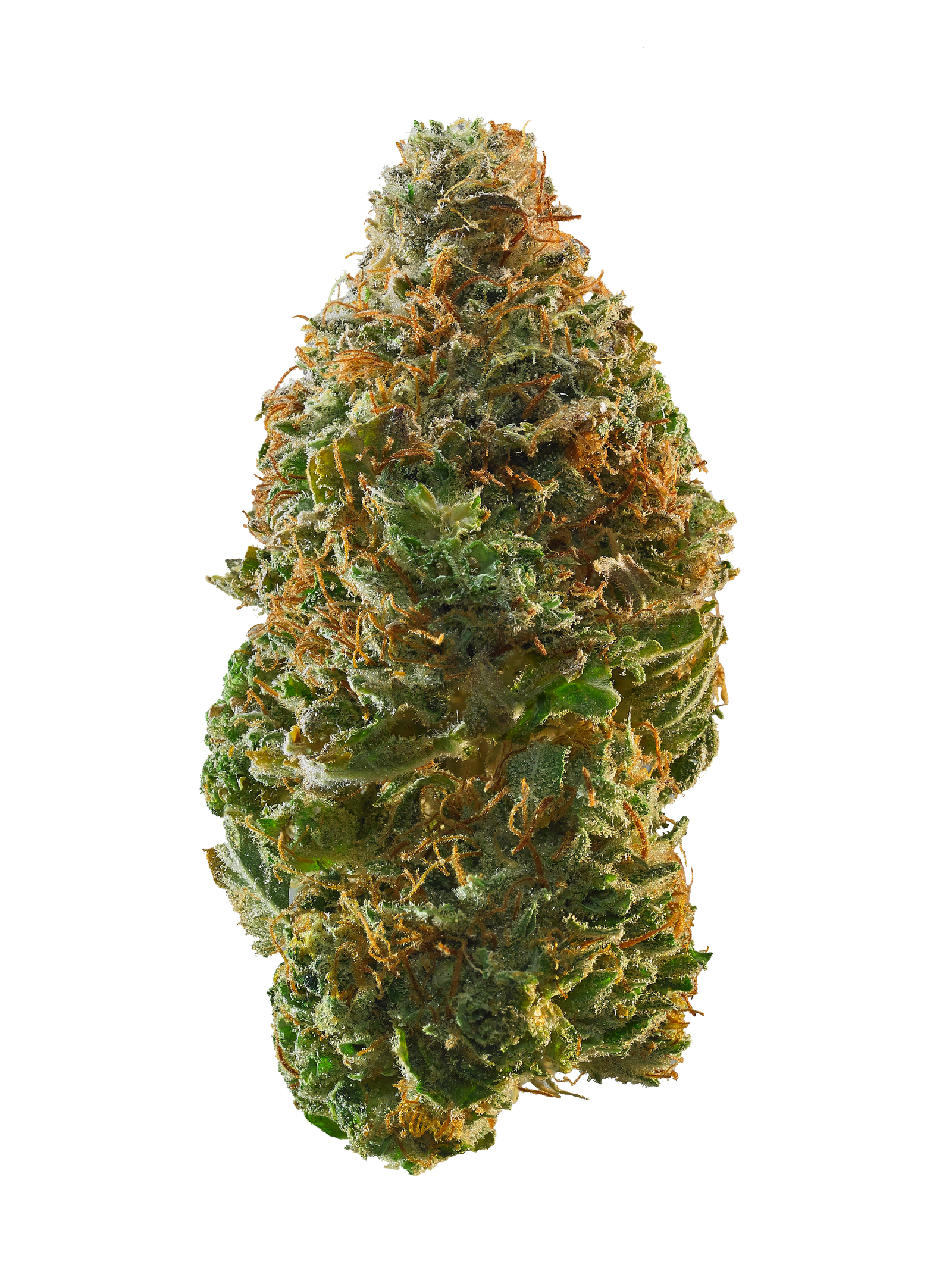 Vovo marijuana strain flower with flowery and menthol flavor and euphoric / talkative effects - Rare Harvest hybrid