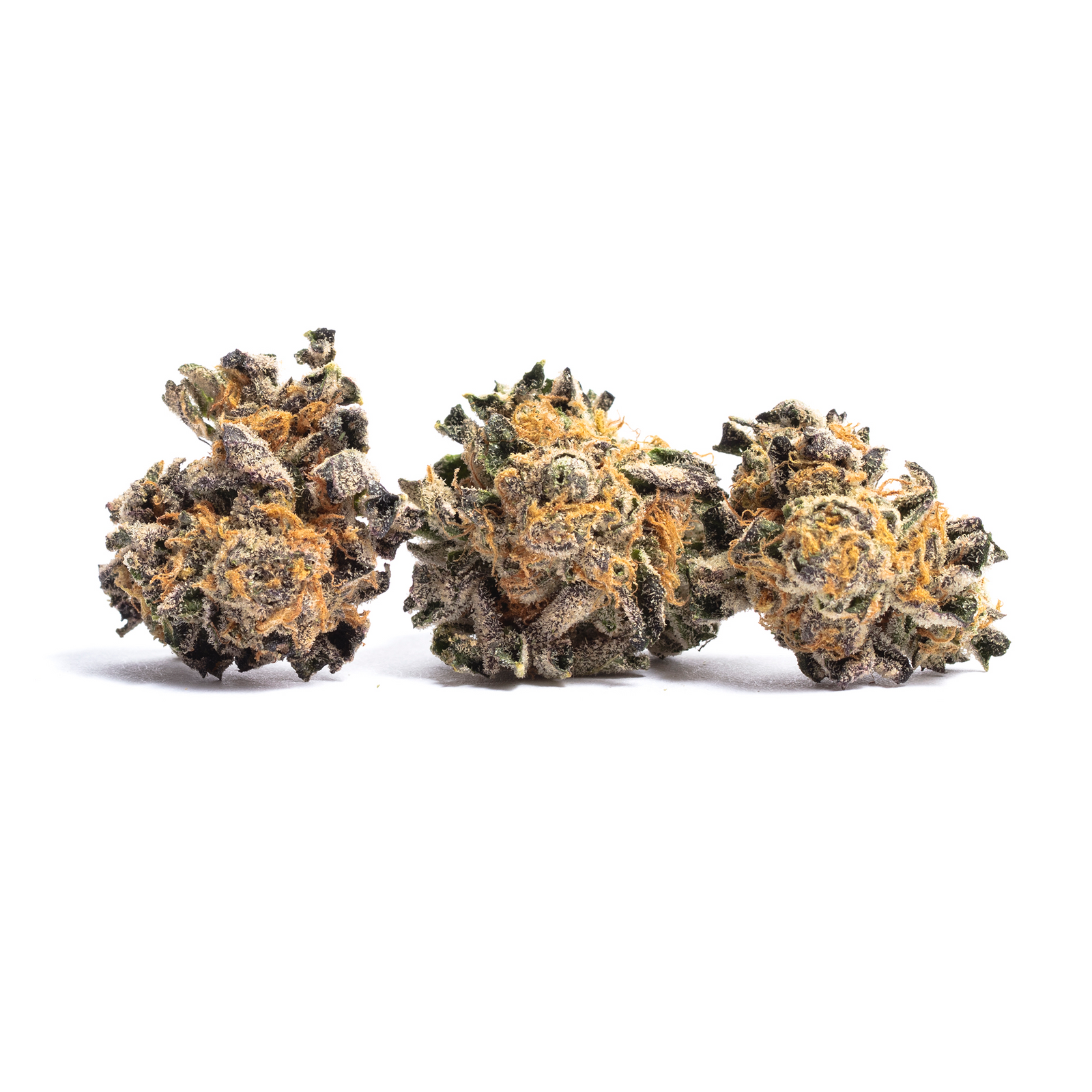 Tropicana Punch marijuana strain flower with tropical and berry flavor and relaxed / focused effects - Rare Harvest hybrid