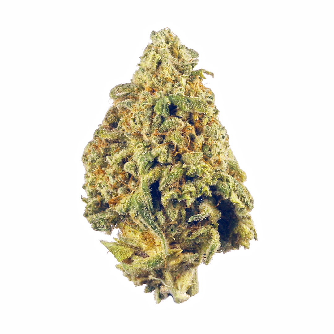 Mighty Glue marijuana strain flower with diesel and mango flavor and giggly / creative effects - Rare Harvest hybrid