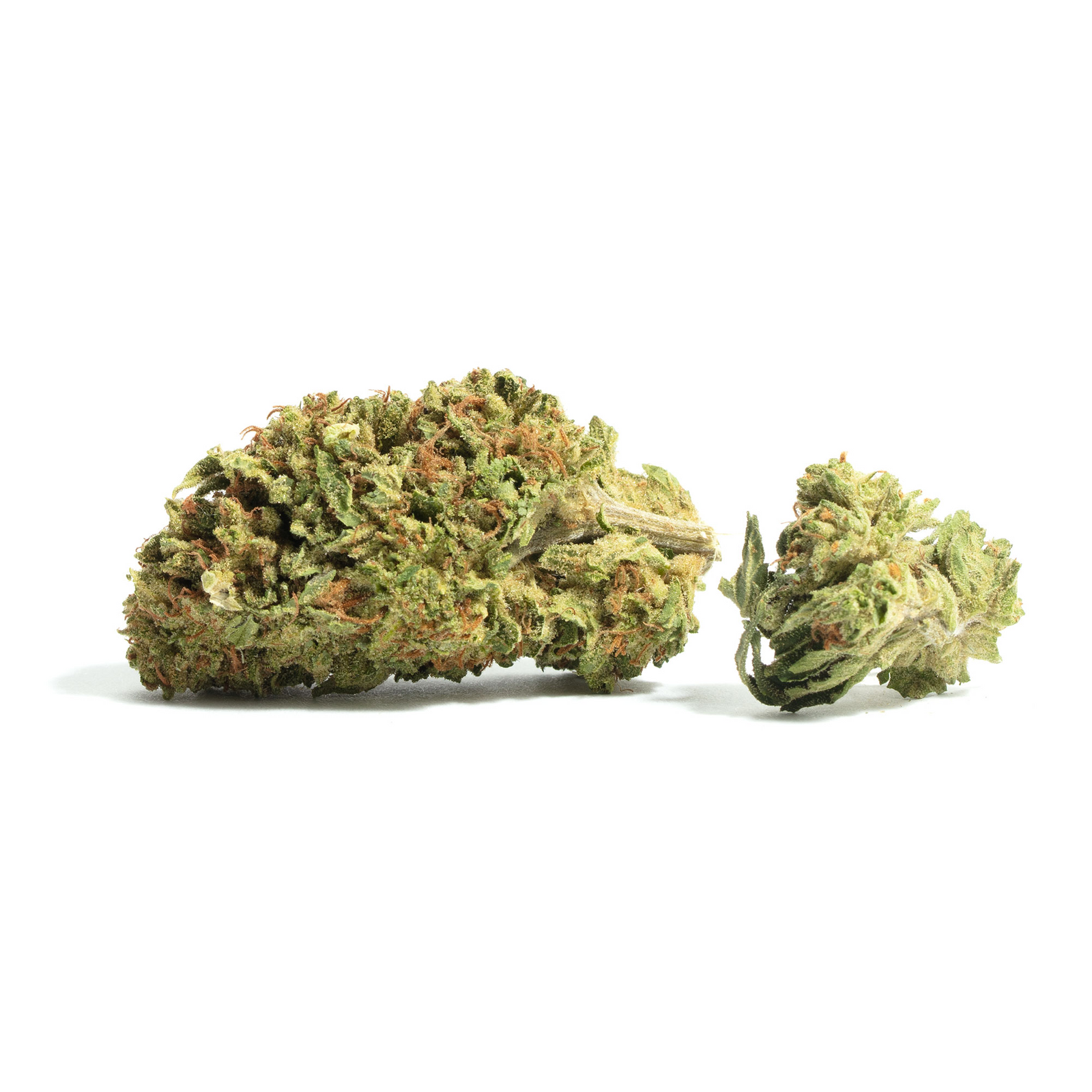 Midnight Snack marijuana strain flower with mint and berry flavor and hungry / happy effects - Rare Harvest hybrid