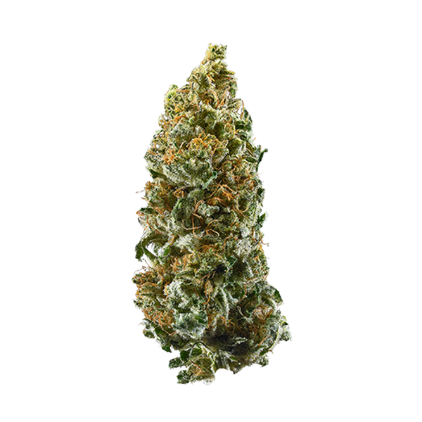 Fluffhead Marijuana Strain | Rare Harvest