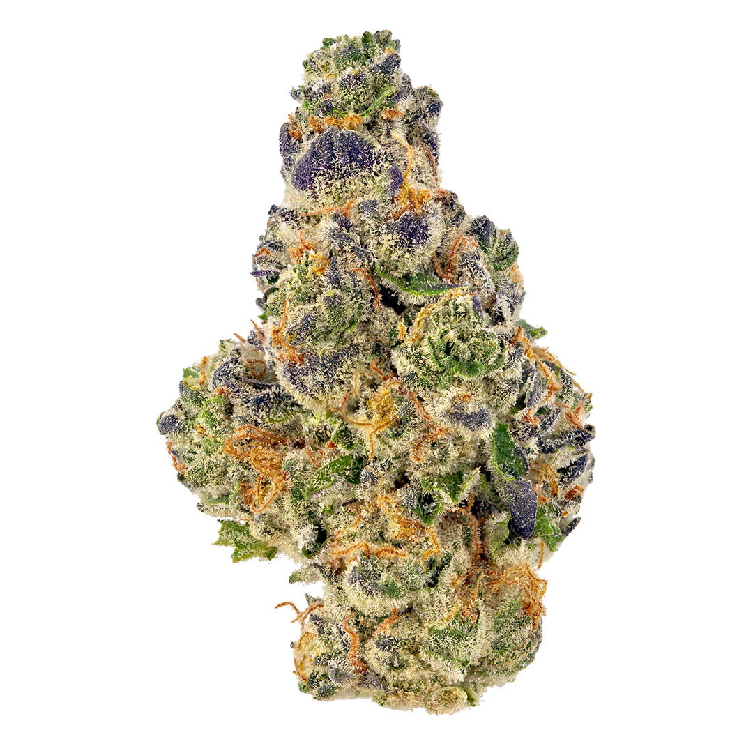 Purple Slush marijuana strain flower with violet and blueberry flavor and creative / happy effects - Rare Harvest hybrid