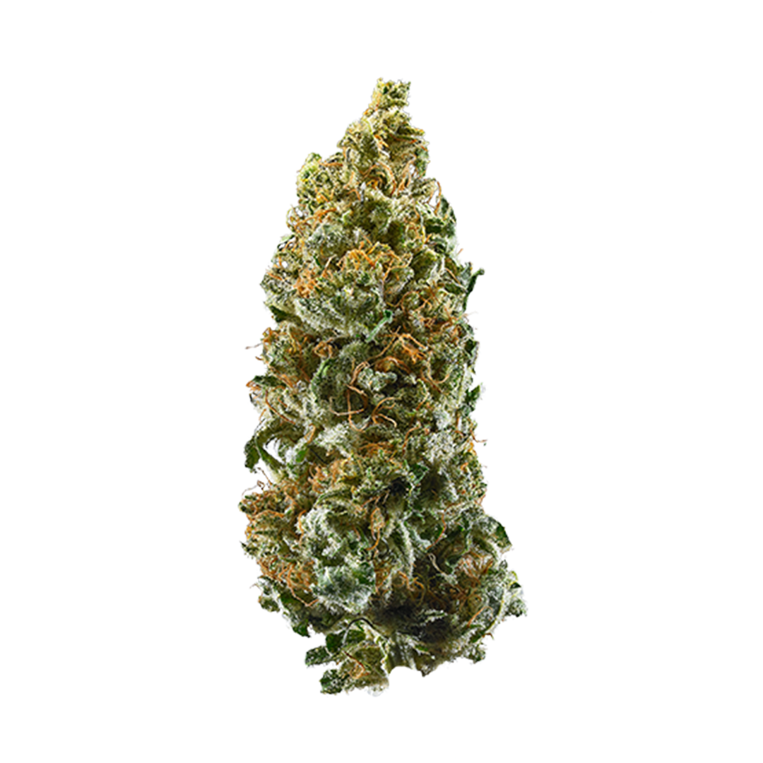Rawtton marijuana strain flower with diesel and chemical flavor and energetic / focused effects - Rare Harvest hybrid