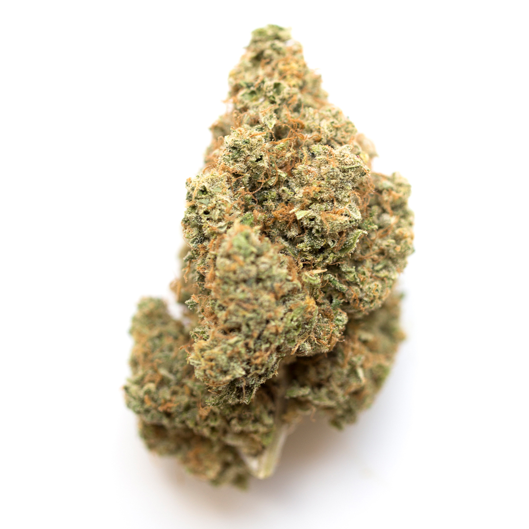 Guava Gelato marijuana strain flower with grapefruit and tropical flavor and aroused / euphoric effects - Rare Harvest hybrid