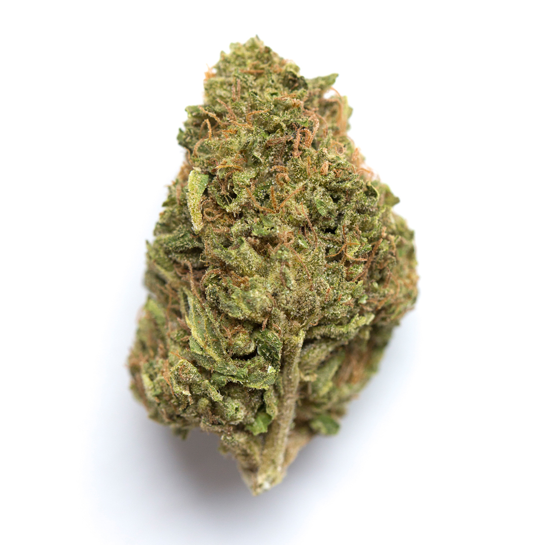 Blue OG Sherbert marijuana strain flower with berry and earthy flavor and energetic / creative effects - Rare Harvest hybrid