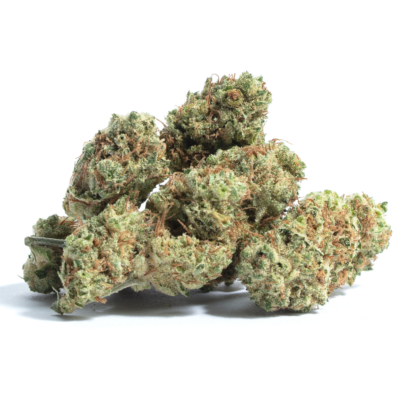 Sorbet Dreams marijuana strain flower with pineapple and strawberry flavor and euphoric / uplifted effects - Rare Harvest hybrid