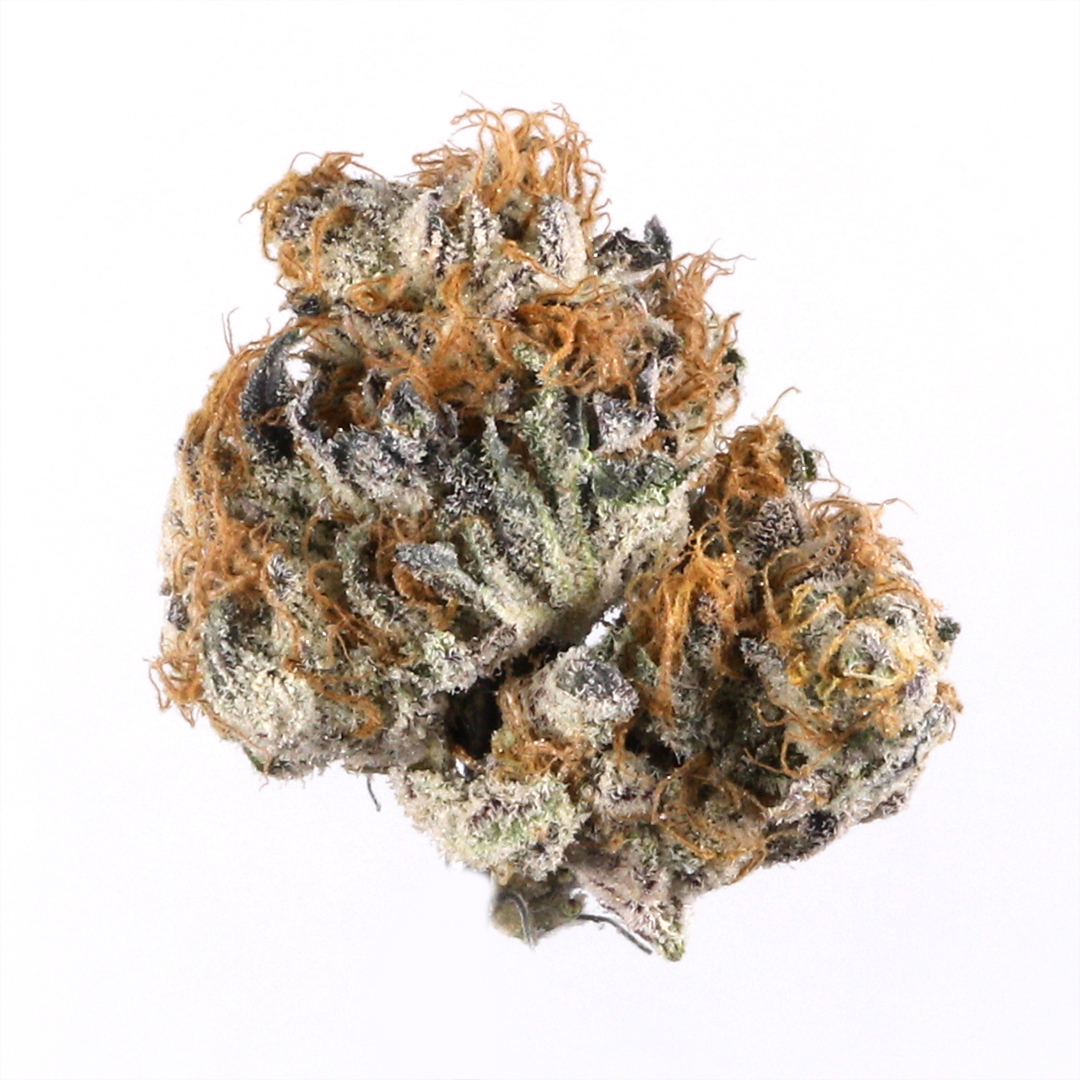 White Gummy marijuana strain flower with flowery and pear flavor and relaxed / euphoric effects - Rare Harvest hybrid