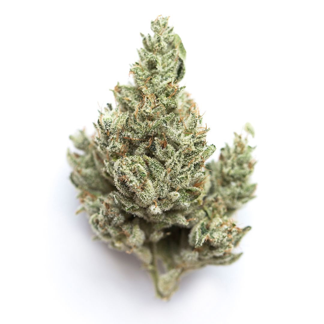 Strawberry Gum marijuana strain flower with strawberry and pineapple flavor and creative / energetic effects - Rare Harvest hybrid