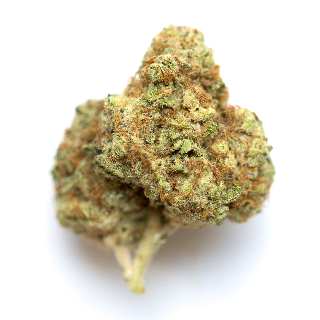 X18 Pure Pakistani marijuana strain flower with pungent and earthy flavor and aroused effects - Rare Harvest hybrid