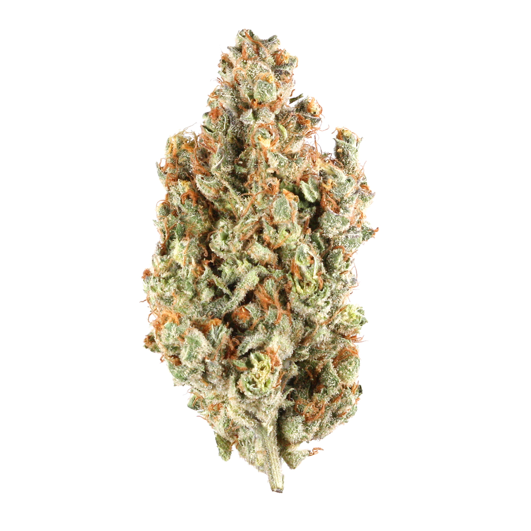 Sour Glue marijuana strain flower with diesel and sage flavor and tingly / energetic effects - Rare Harvest hybrid