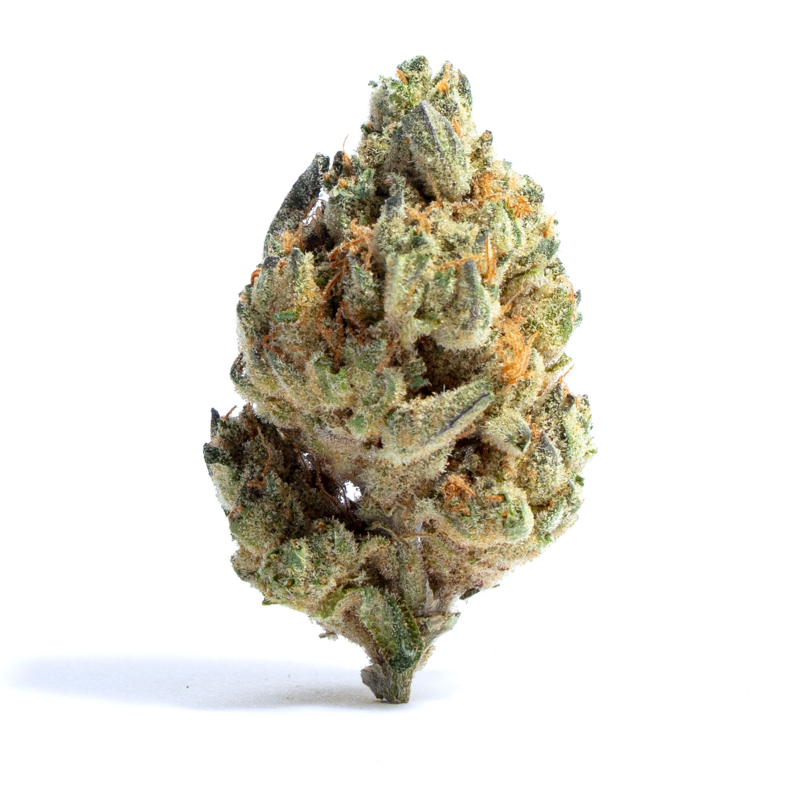 Zunderdog marijuana strain flower with diesel and grape flavor and creative / uplifted effects - Rare Harvest indica