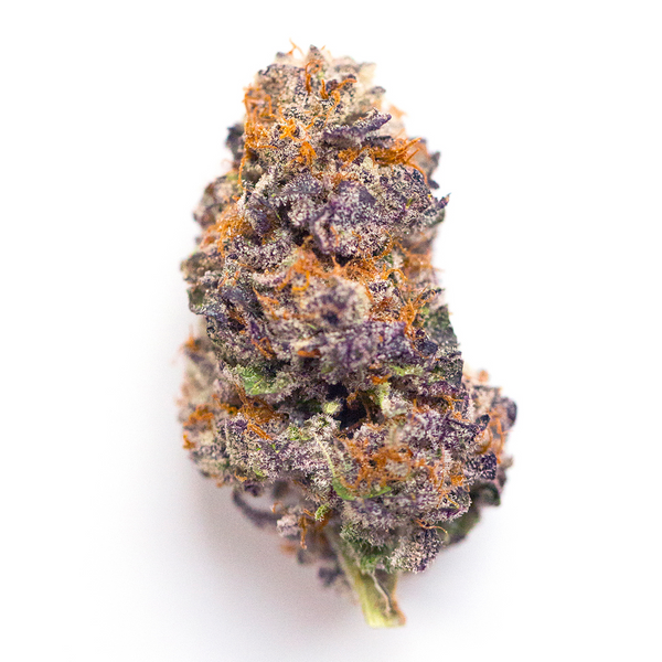 Modified Grapes Marijuana Strain | Rare Harvest
